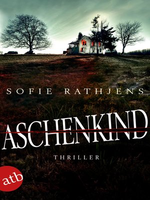 cover image of Aschenkind